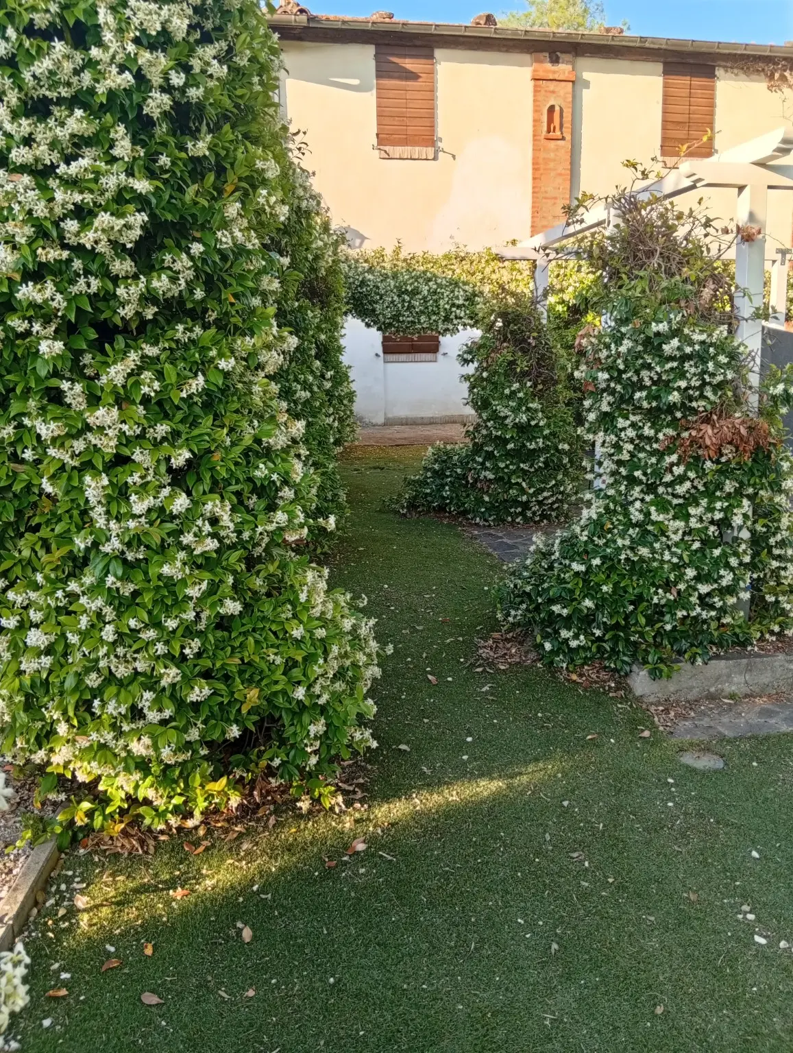 Ingresso del cortile incorniciato dal gelsomino in fiore