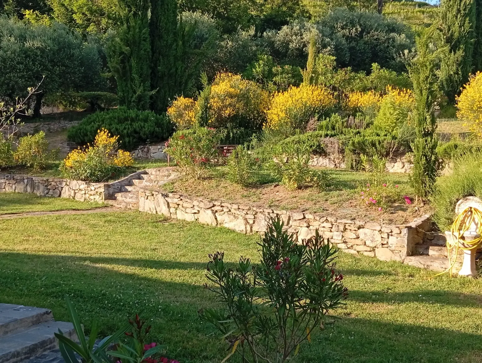 Giardino terrazzato con fiori e cipressi